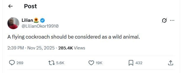 Post lilian lilianokor19910 a flying cockroach should be considered as a wild an