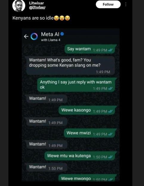Litwisar ujcisar follow kenyans are so idlee meta al hn llama say wantam 1 49 pm