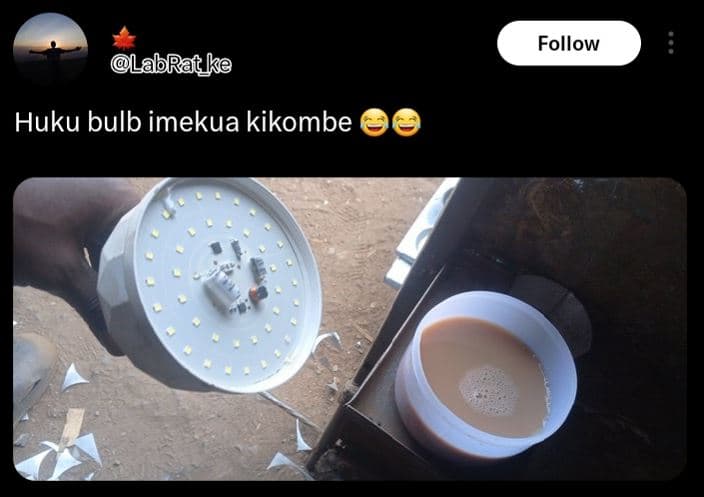 Follow labrat ke huku bulb imekua kikombe