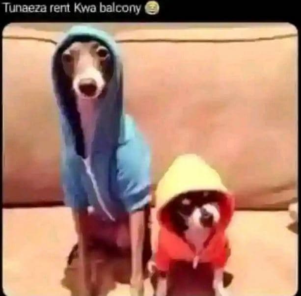 Tunaeza rent kwa balcony