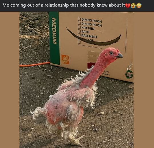 Me coming out of a relationship that nobody knew about it dining room dining ! r