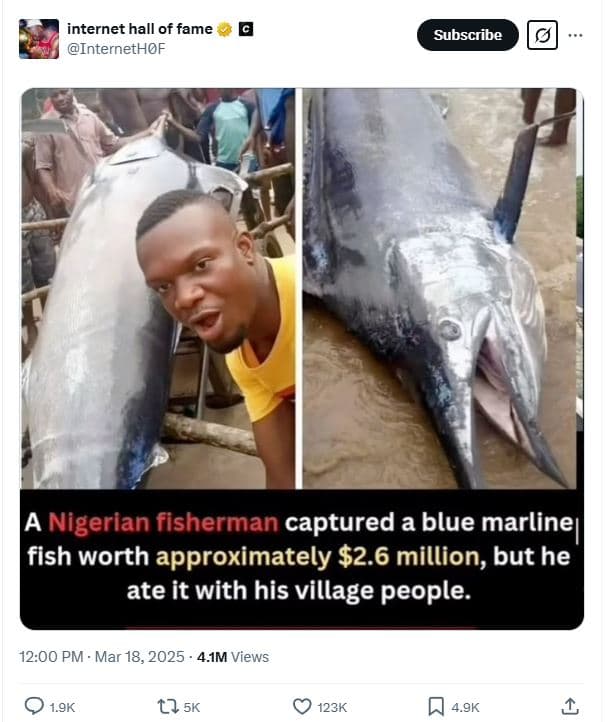 Internet hall of fame internethof subscribe nigerian fisherman captured a blue m