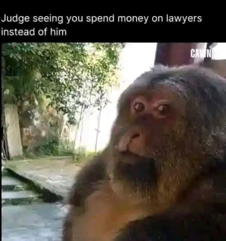 Judge seeing you spend money on lawyers instead of him chan