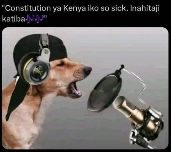 Constitution ya kenya iko so sick. inahitaji katiba h '