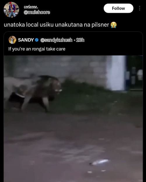 Cocleone. muishcole follow unatoka local usiku unakutana na pilsner sandy sandyk