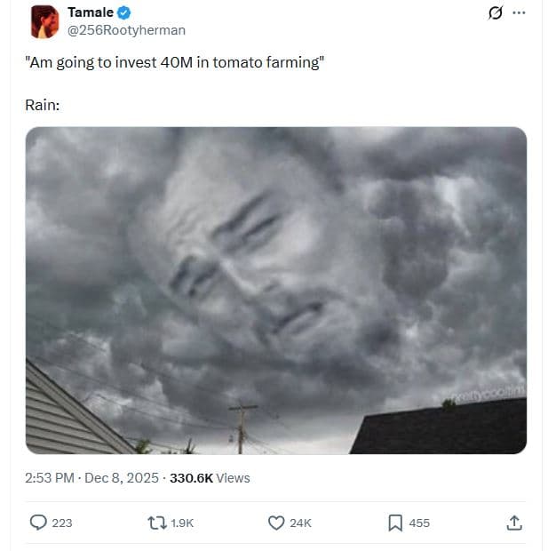 Tamale 256rootyherman am going to invest 4om in tomato farming rain 2.53 pm dec