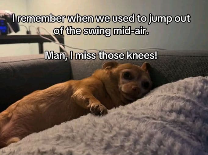 Rememberuhen weused to jump out f theswingmidairo man imiss those knees!