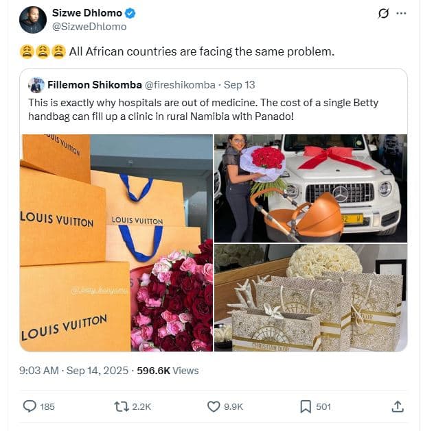 Sizwe dhlomo sizwedhlomo all african countries are facing the same problem fille